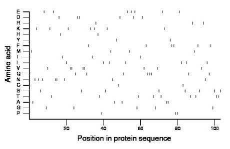 amino acid map