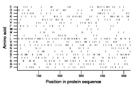 amino acid map