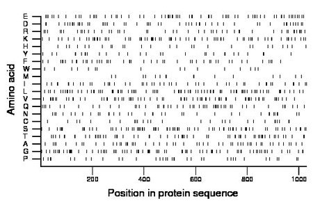 amino acid map