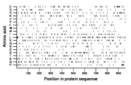 amino acid map