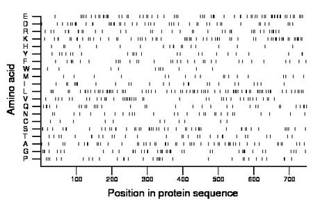 amino acid map