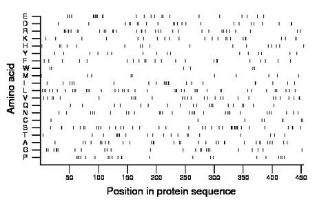 amino acid map