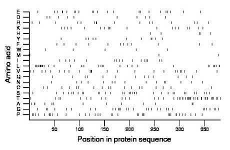 amino acid map