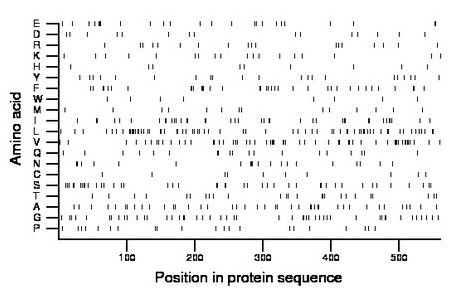 amino acid map