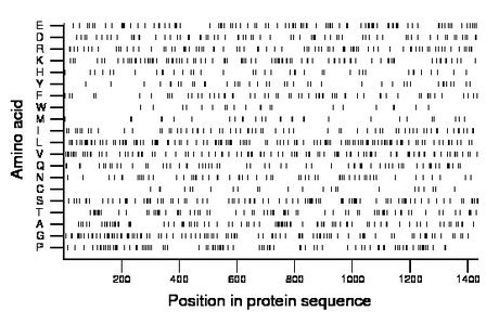 amino acid map