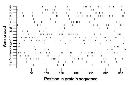 amino acid map