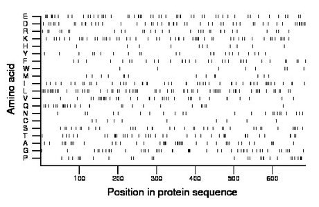 amino acid map