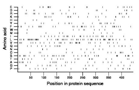 amino acid map