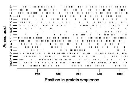 amino acid map