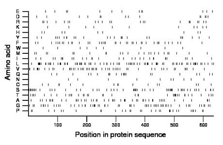 amino acid map