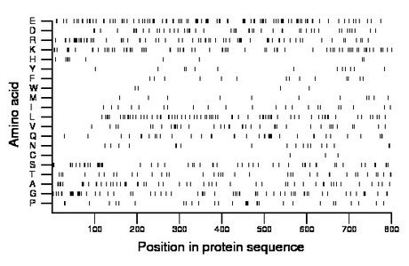 amino acid map