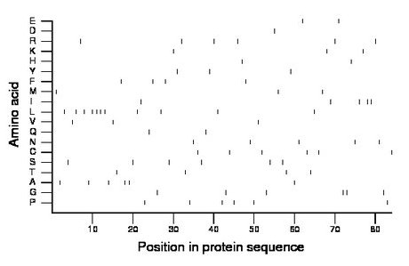 amino acid map