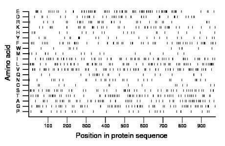 amino acid map