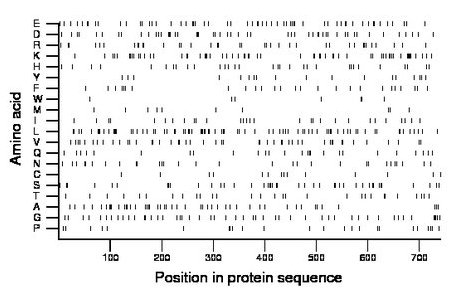 amino acid map