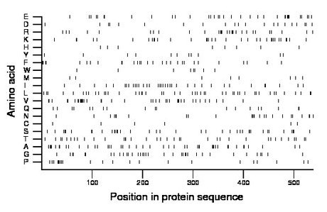 amino acid map