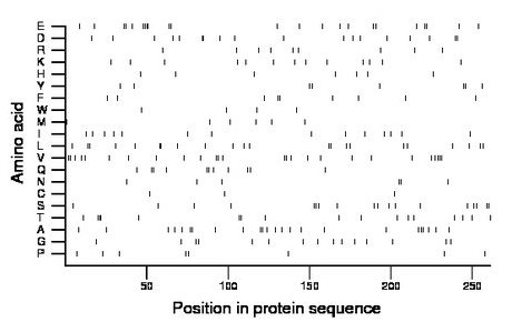 amino acid map