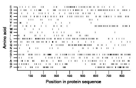 amino acid map