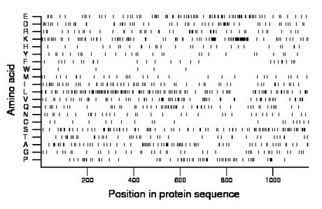 amino acid map