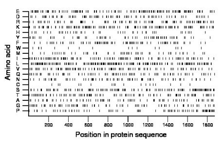 amino acid map