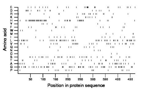 amino acid map