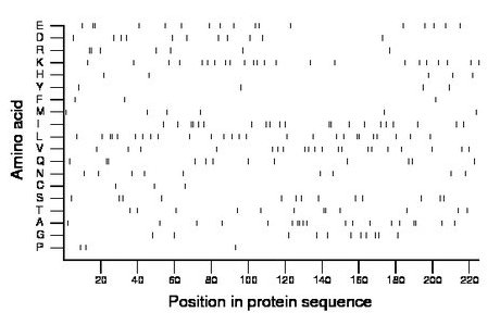 amino acid map