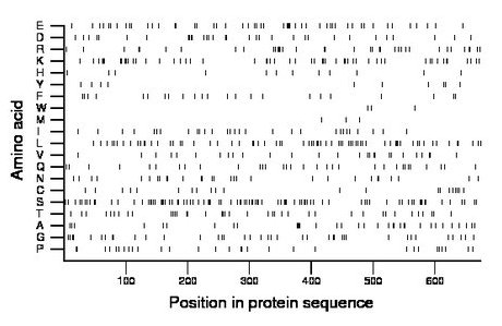 amino acid map