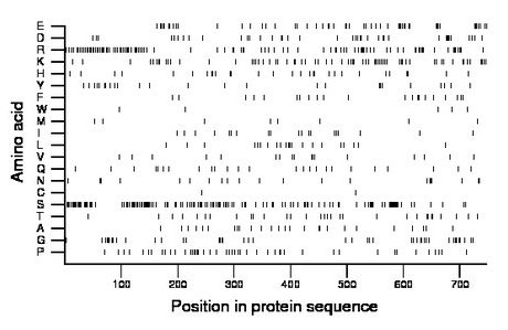 amino acid map