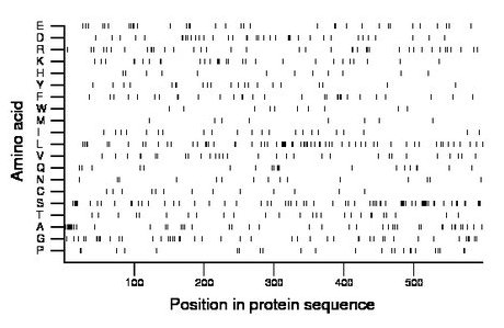 amino acid map