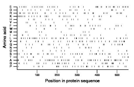 amino acid map