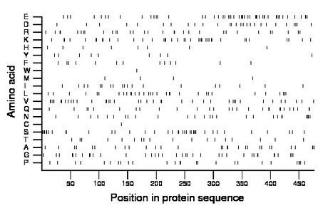 amino acid map