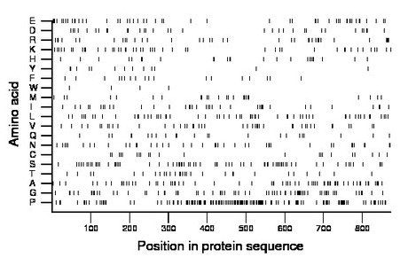 amino acid map