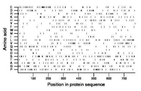 amino acid map