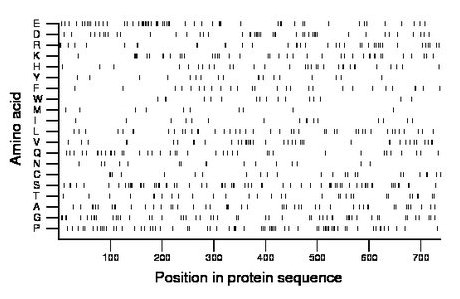 amino acid map