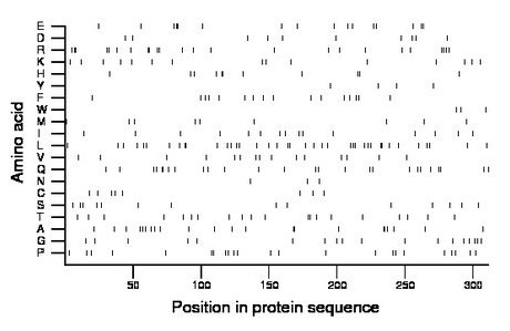 amino acid map