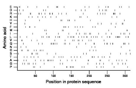 amino acid map