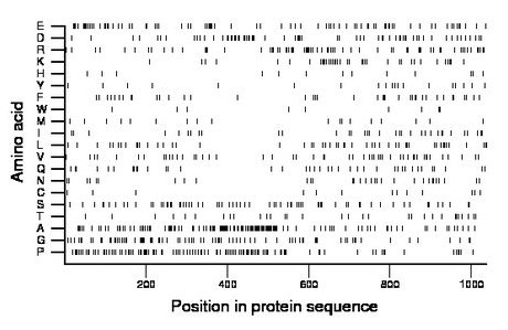 amino acid map