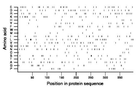 amino acid map