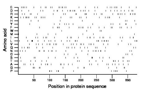 amino acid map