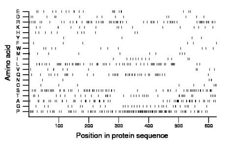 amino acid map