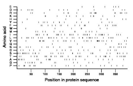 amino acid map