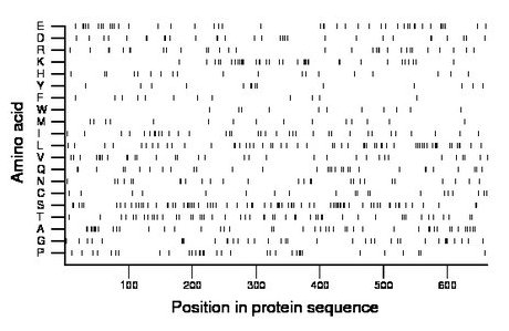 amino acid map