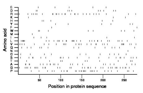 amino acid map