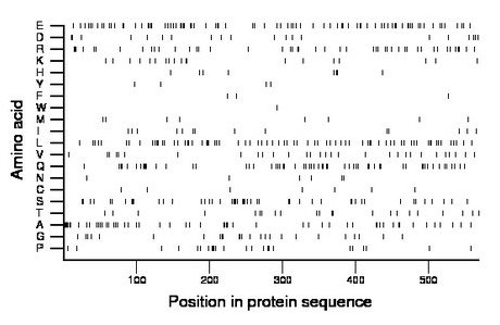 amino acid map