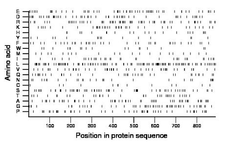 amino acid map