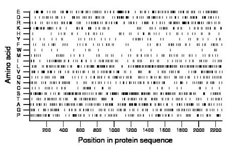 amino acid map