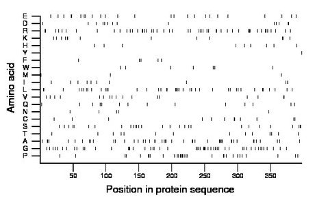 amino acid map