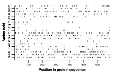 amino acid map