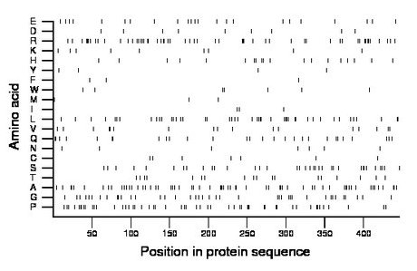 amino acid map