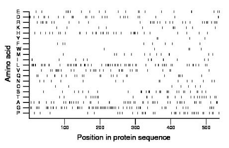 amino acid map