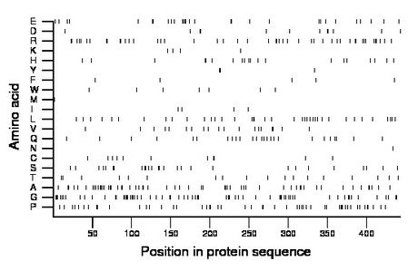 amino acid map